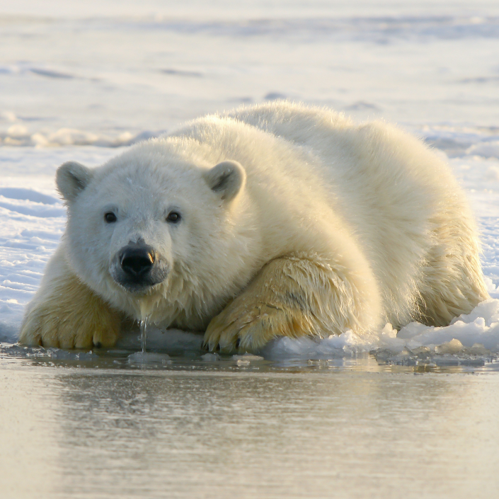 Environment Monitoring